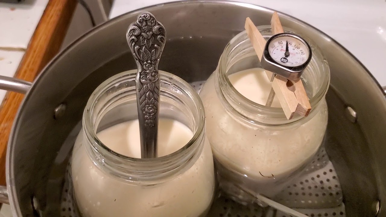 Heat treatment of goat colostrum