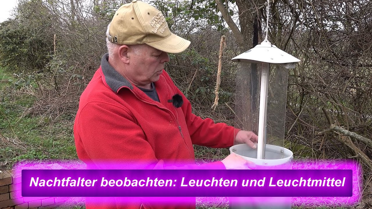 Nachtfalter beobachten: Leuchten und Leuchtmittel