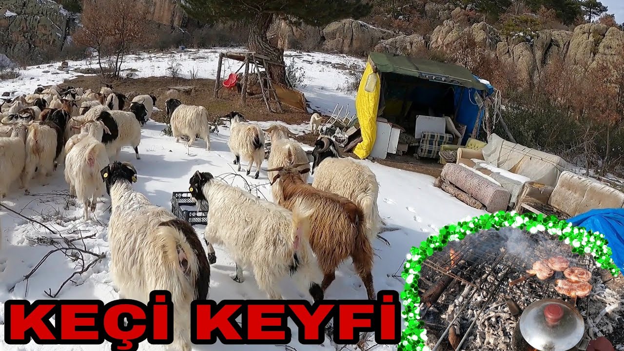 KEÇİLERİ KAÇIRDIM🤣OF KEYİFE BAK MİS ÇAY MİS KUZU SARMASI