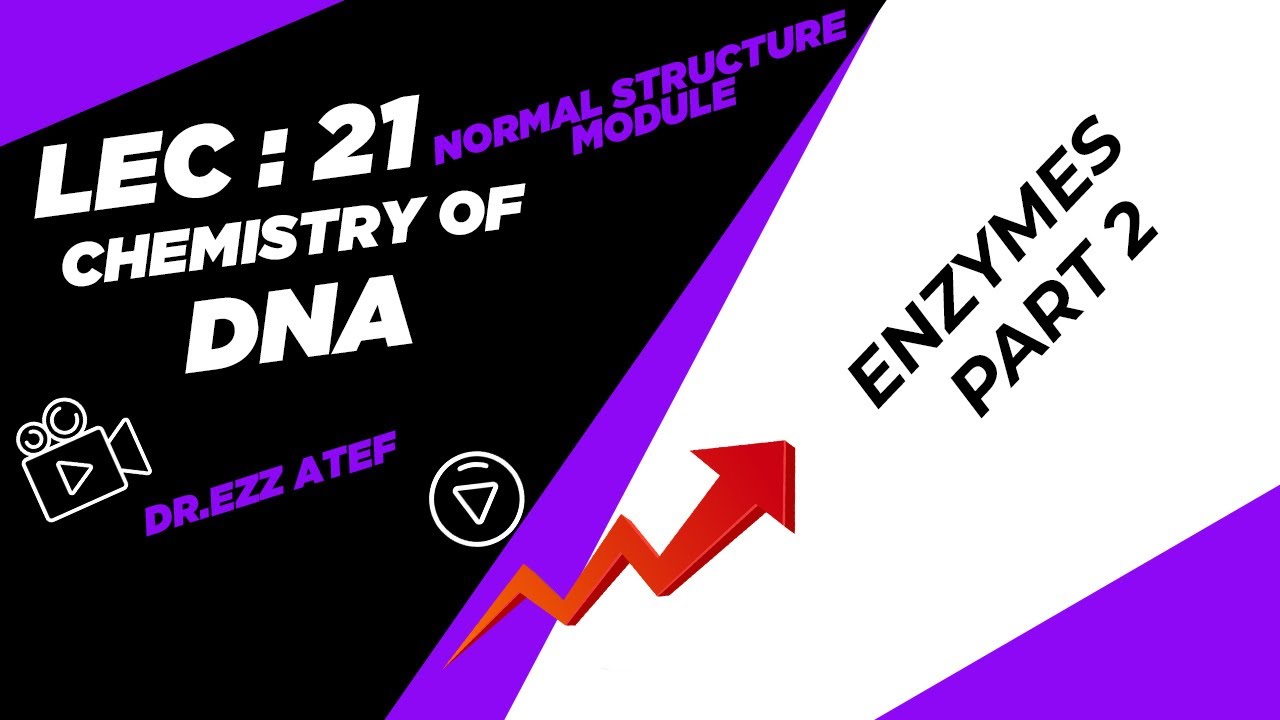 Biochemistry - 1st year - (21) Enzymes part 2