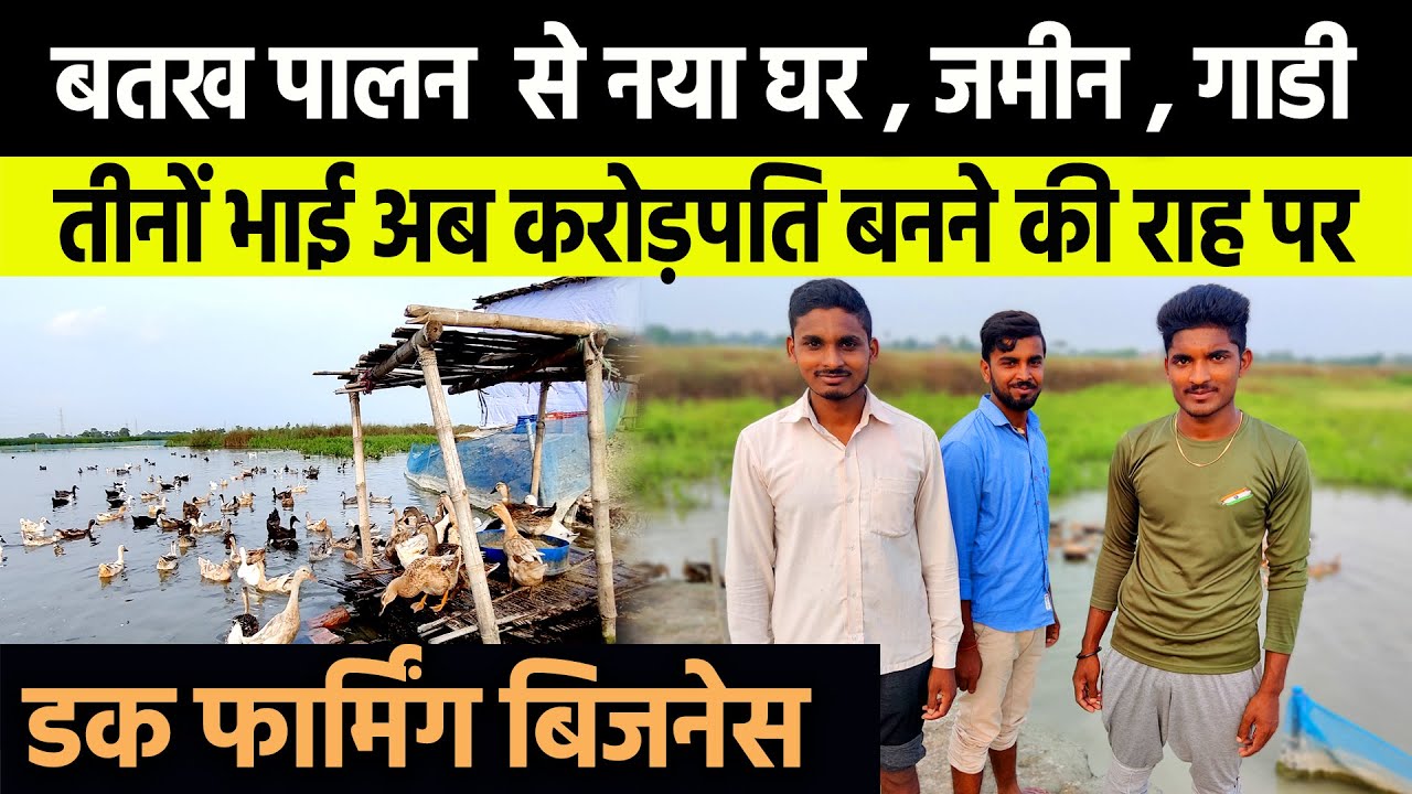तीन सगे भाई मिलकर Duck Farming Business से जितनी कमाई कर रहे है सुनकर माथा चकरा जायेगा Pawan Talks