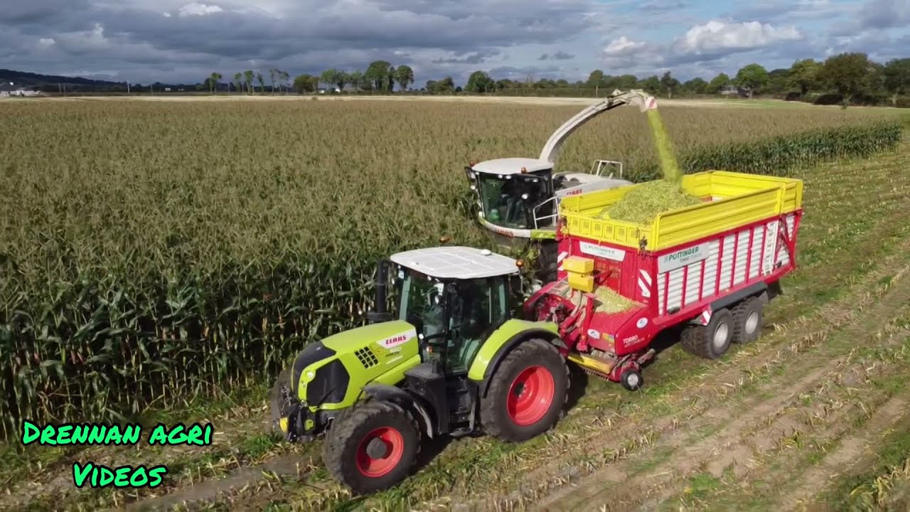 Maize 2021 - Drennan agri
