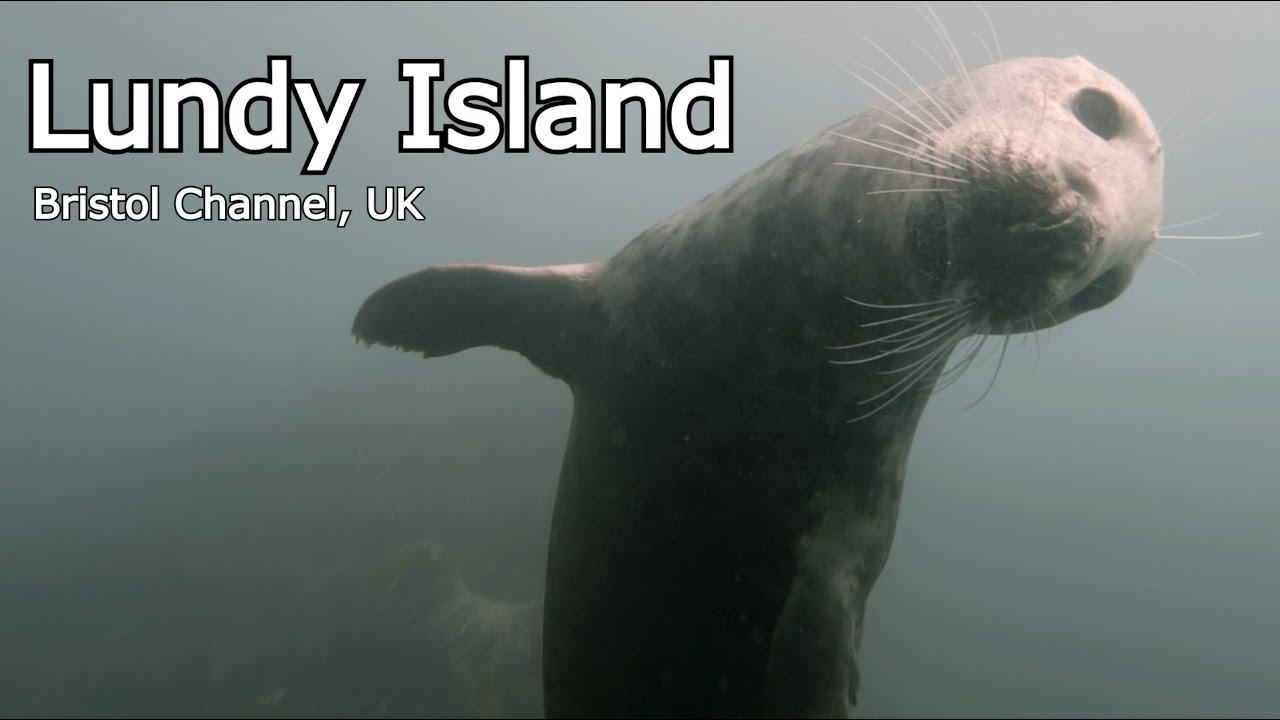 Scuba Diving at Lundy Island, UK