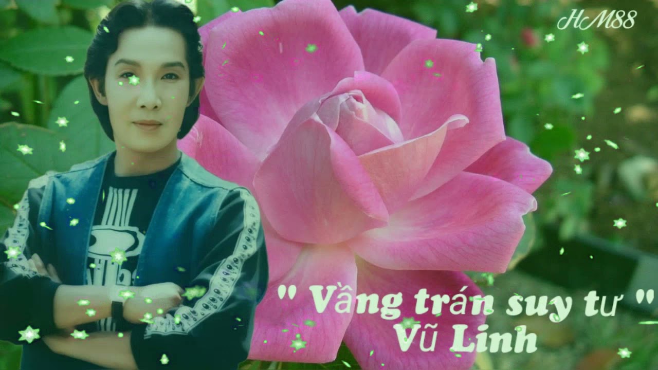 Tân cổ 