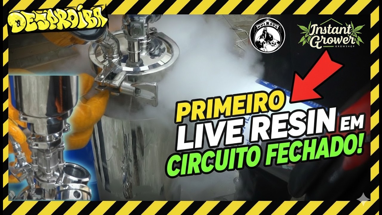 EXTRA&Ccedil;&Atilde;O DE BHO LIVE RESIN 24K - CLOSED LOOP