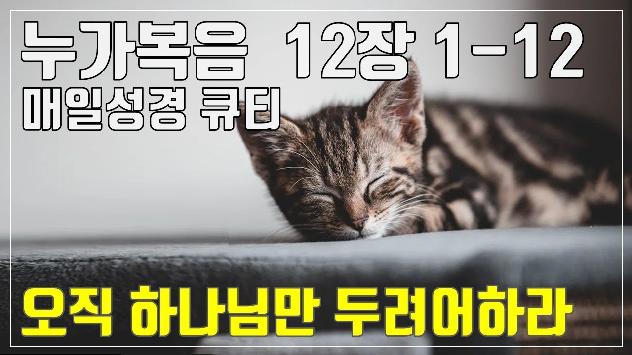[매일성경큐티] 3월 16일 (주) 누가복음 12장 1-12 