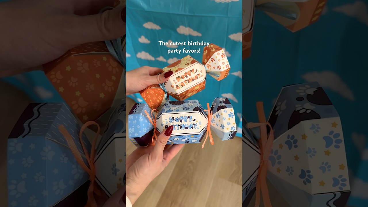 Bluey themed birthday party! Linked in bio on my Amazon storefront!￼