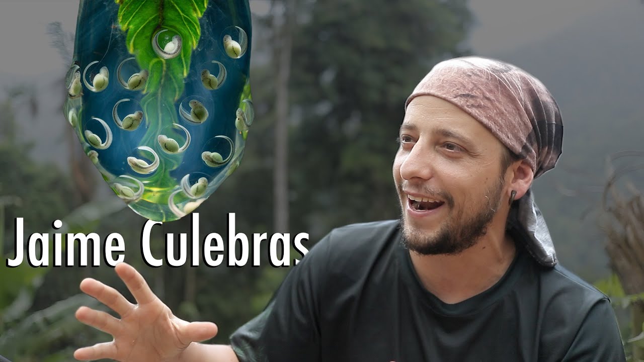 Entrevista a Jaime Culebras | Turipache wildlife
