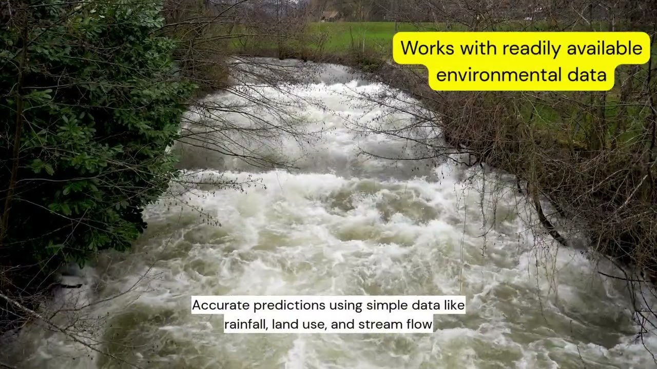 Rural Research Summary: Machine Learning Models
