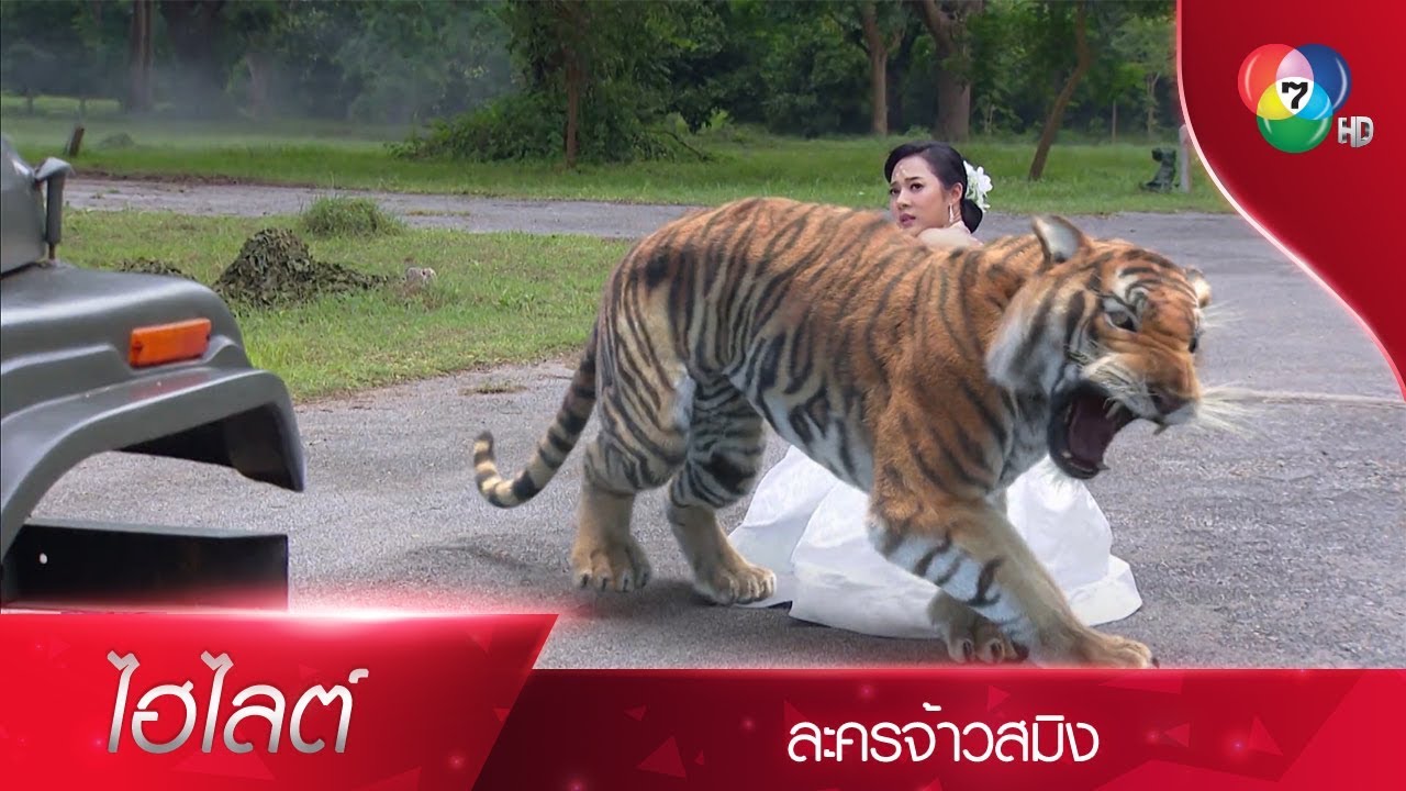 ตะวันปกป้องคุณหนูพิมพ์จากกระสุน | ไฮไลต์ละคร จ้าวสมิง EP.15 | Ch7HD