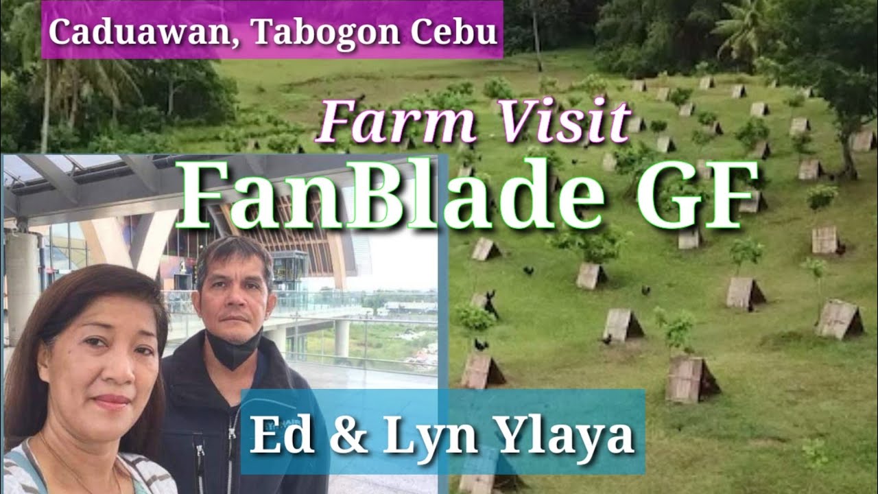 EP387 part 1: Farm Visit/FanBlade GF/Boston Black