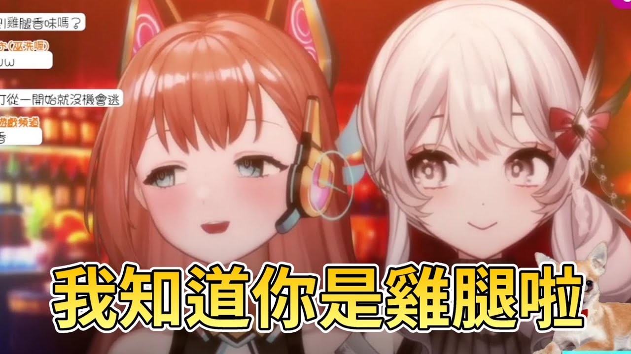 【雨宮夢/灰妲精華】吉娃娃與灰鸚鵡首次連動...