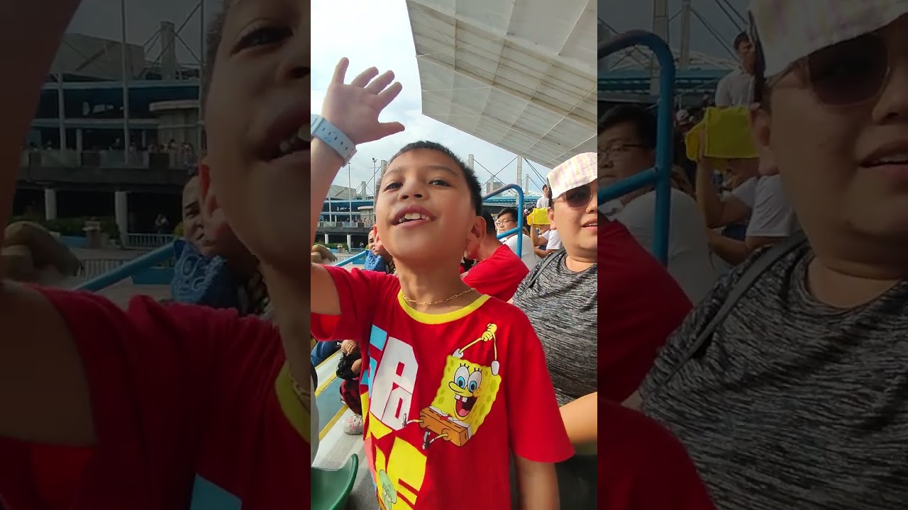 Bird show🦜🕊️🦅in OCEAN PARK 🏞️ MANILA