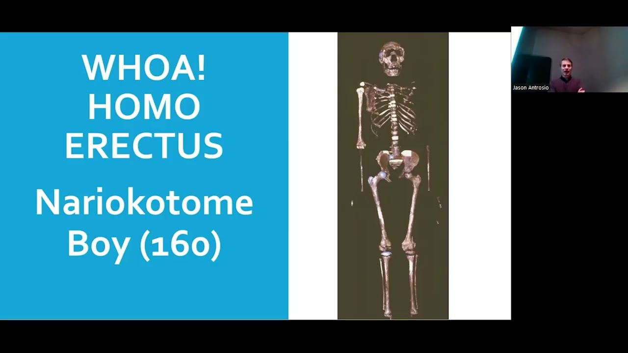 Chapter 6, Sections 6.1-6.2, Homo Erectus to Homo Sapiens