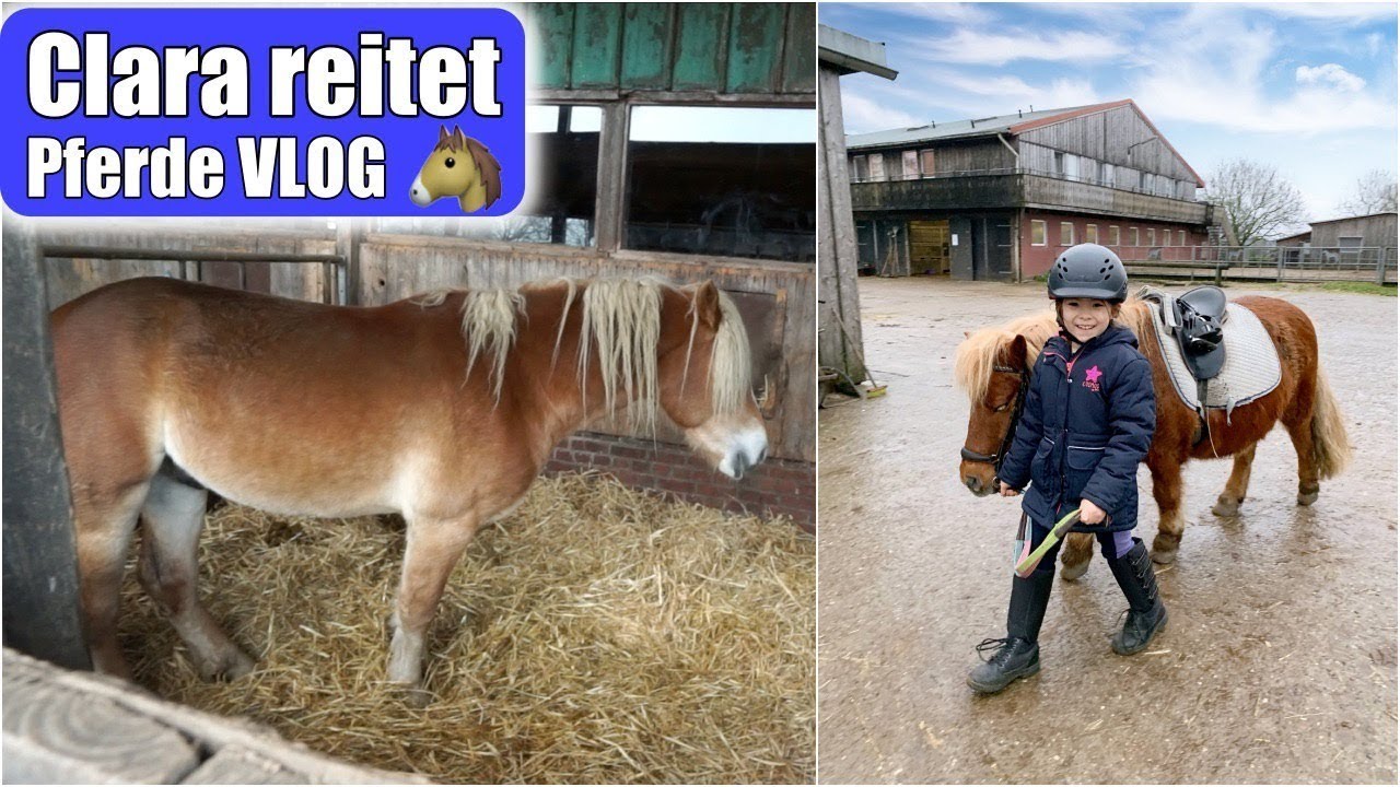 Clara lernt reiten 🐴 6 Monate Reitunterricht | Galopp üben & Pony putzen | Pferde VLOG | Mamiseelen