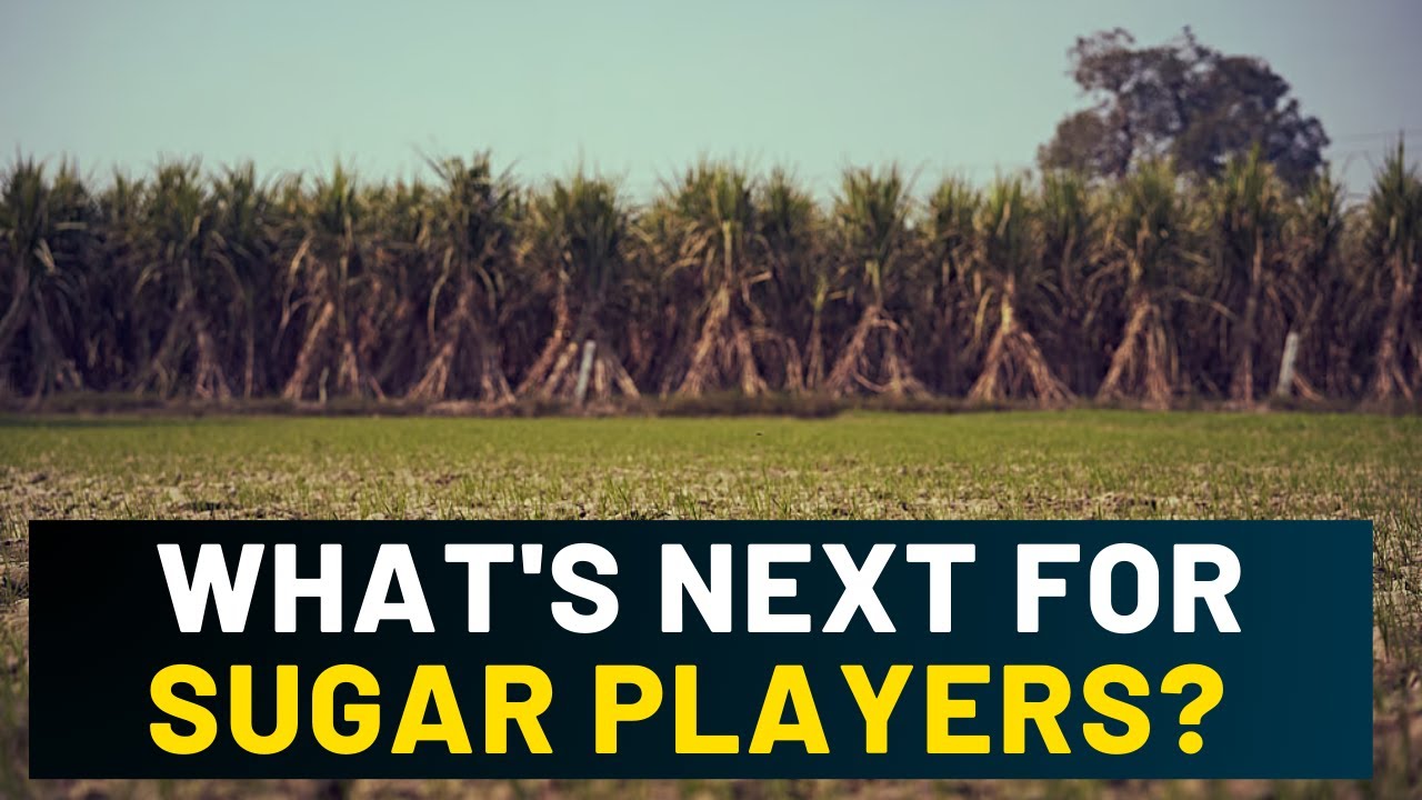 Cabinet Raises Sugarcane Fair Price By 4.41% For 2025&ndash;26