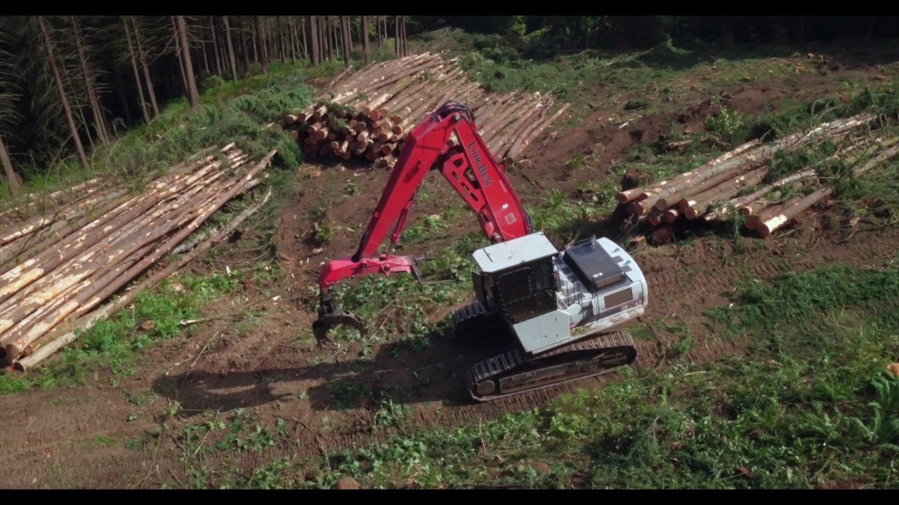 MVR Timber Cutting 2016
