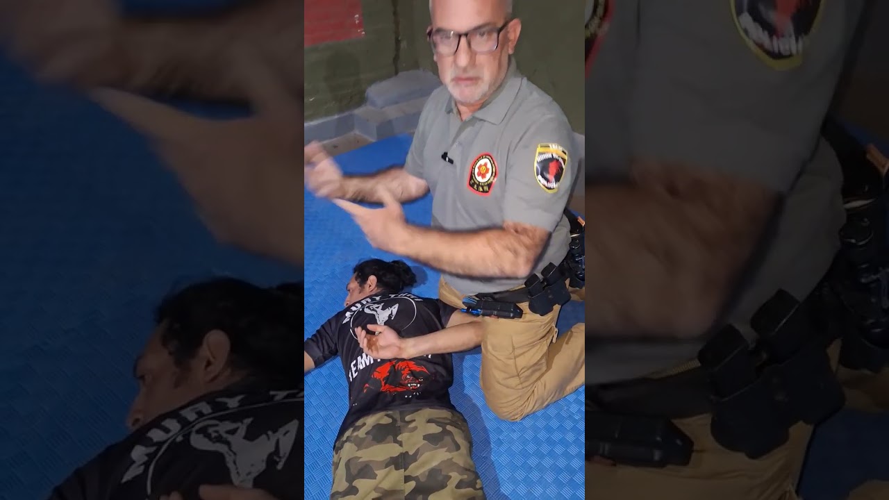 Explicaci&oacute;n de la Pir&aacute;mide del Uso de la Fuerza Policial