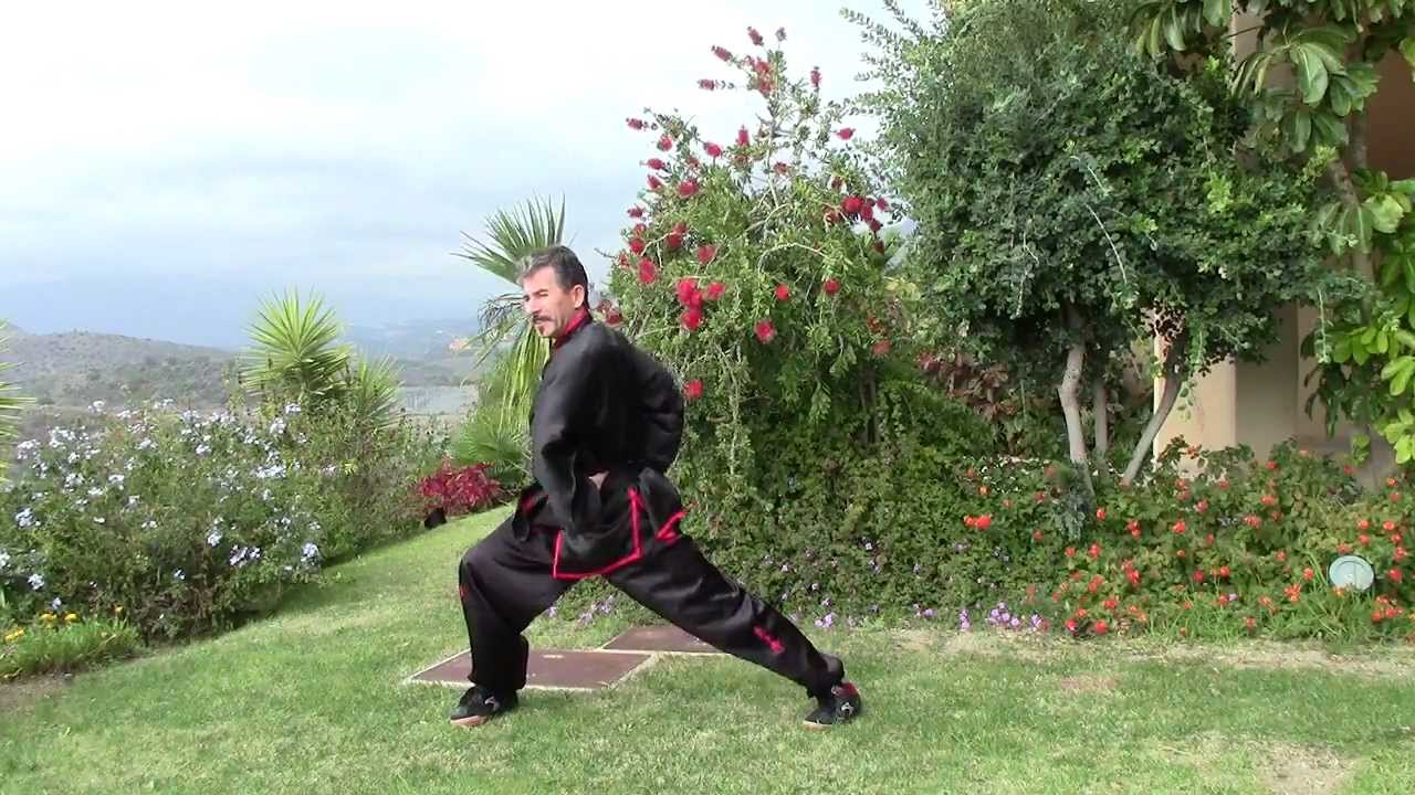 Posiciones básicas de Choy Lee Fut