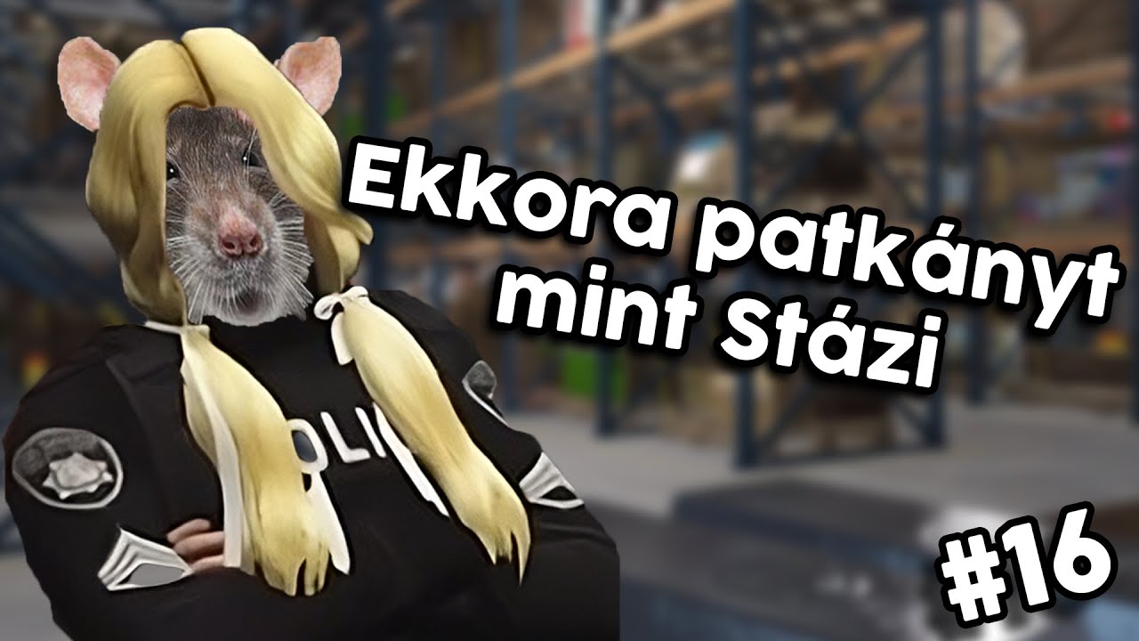 Stázi egy patkány! 🐭🐭 | Galaxy montage #16