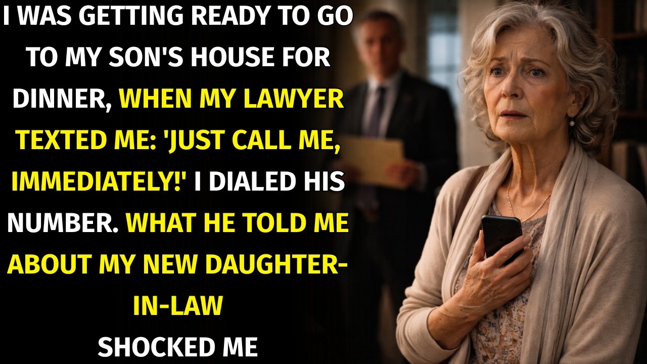 My Lawyer Wrote To Me 'Call Me Immediately!' He Told Me The Terrible Truth About My DIL.