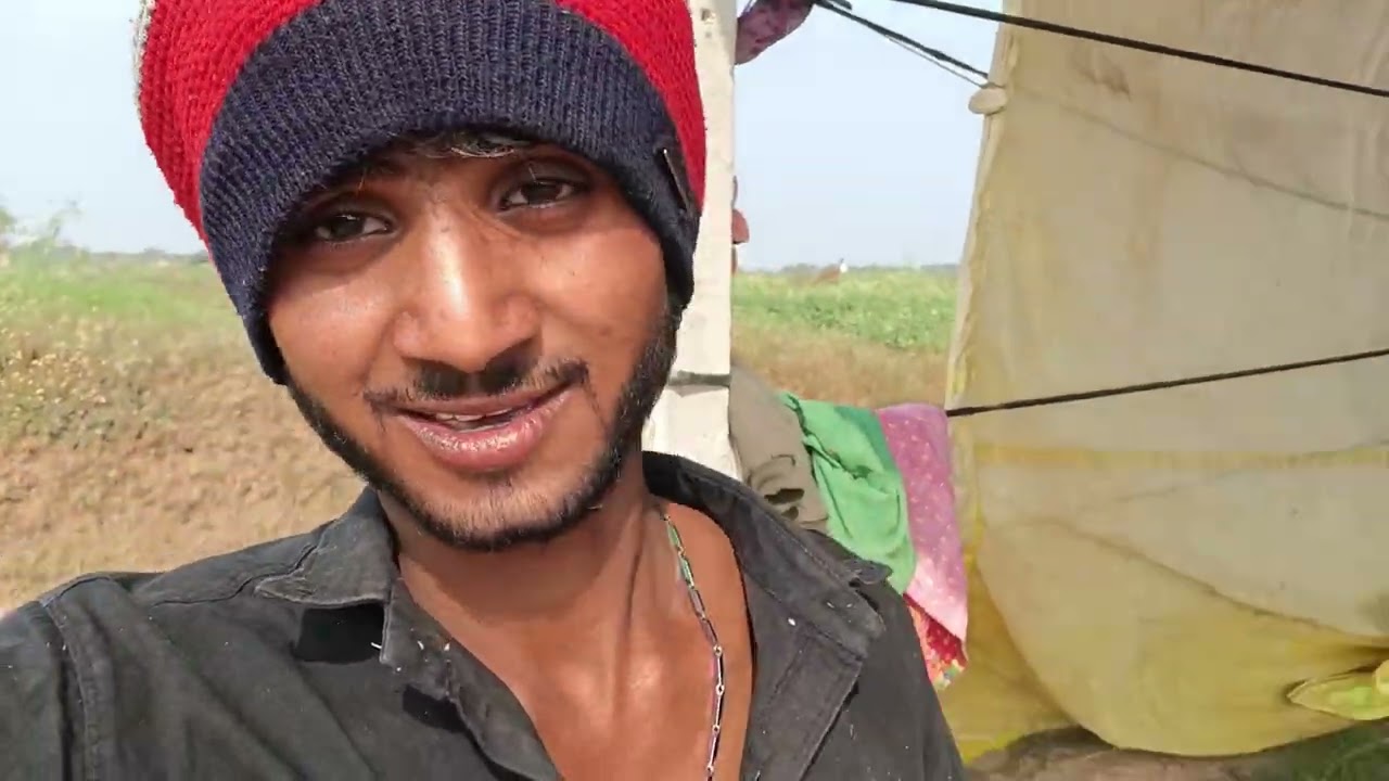 खेत में से आलू 🥔निकल ने स्टार्ट किए / Potatoes started coming out of the field / my daily vlog 