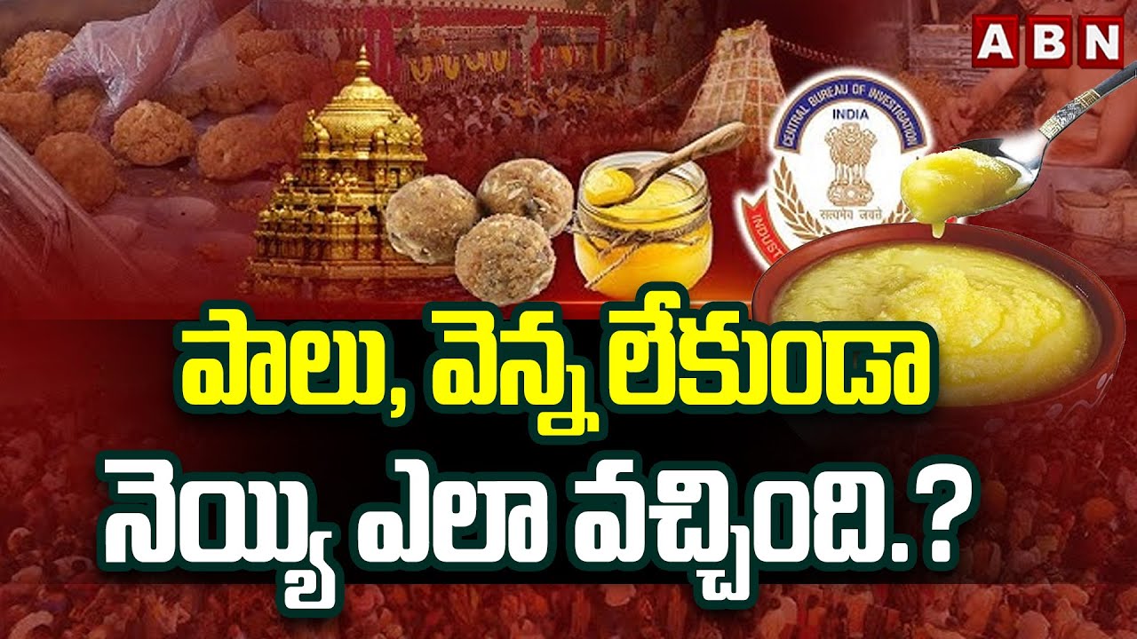 పాలు, వెన్న లేకుండా నెయ్యి ఎలా వచ్చింది.? | ABN Analysis On TTD Adulterated Ghee | ABN