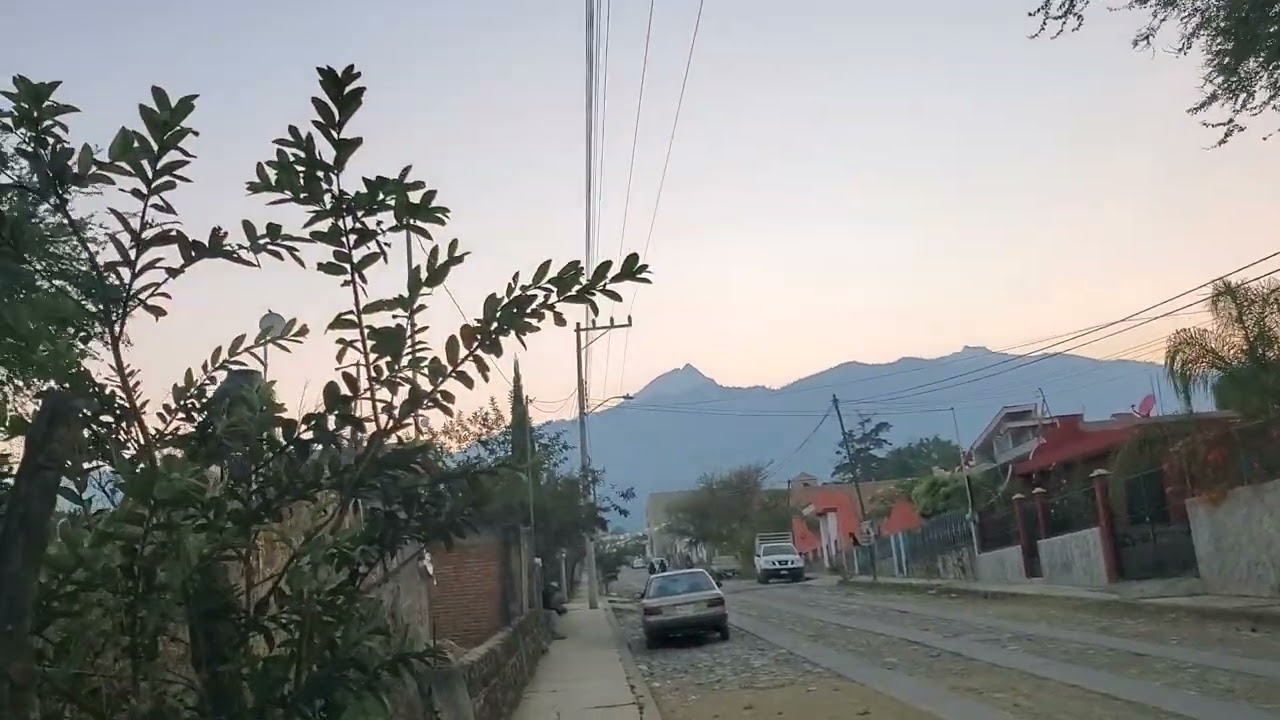 En el fresnito