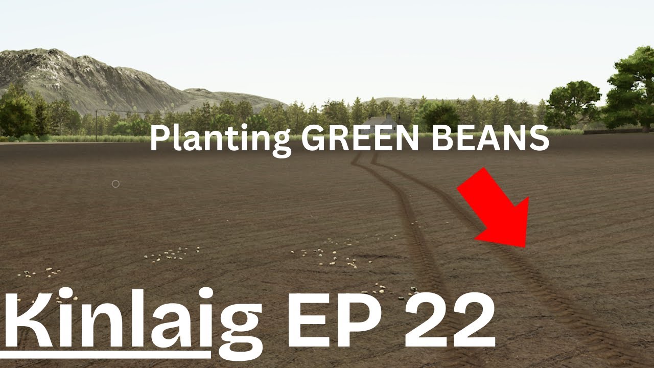 Planting the Green Beans And Castle Update - Kinlaig Ep 22