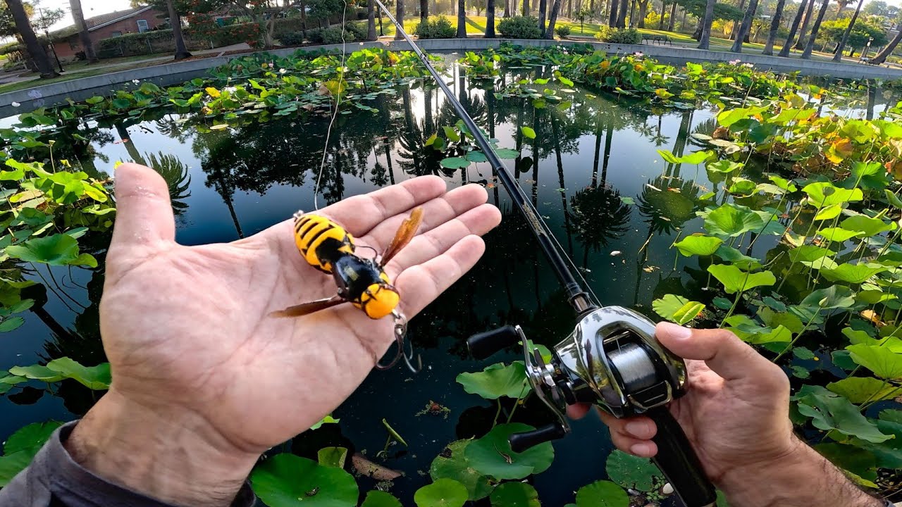Fishing a Giant Asian Hornet Lure in Urban Jungle (Los Angeles)