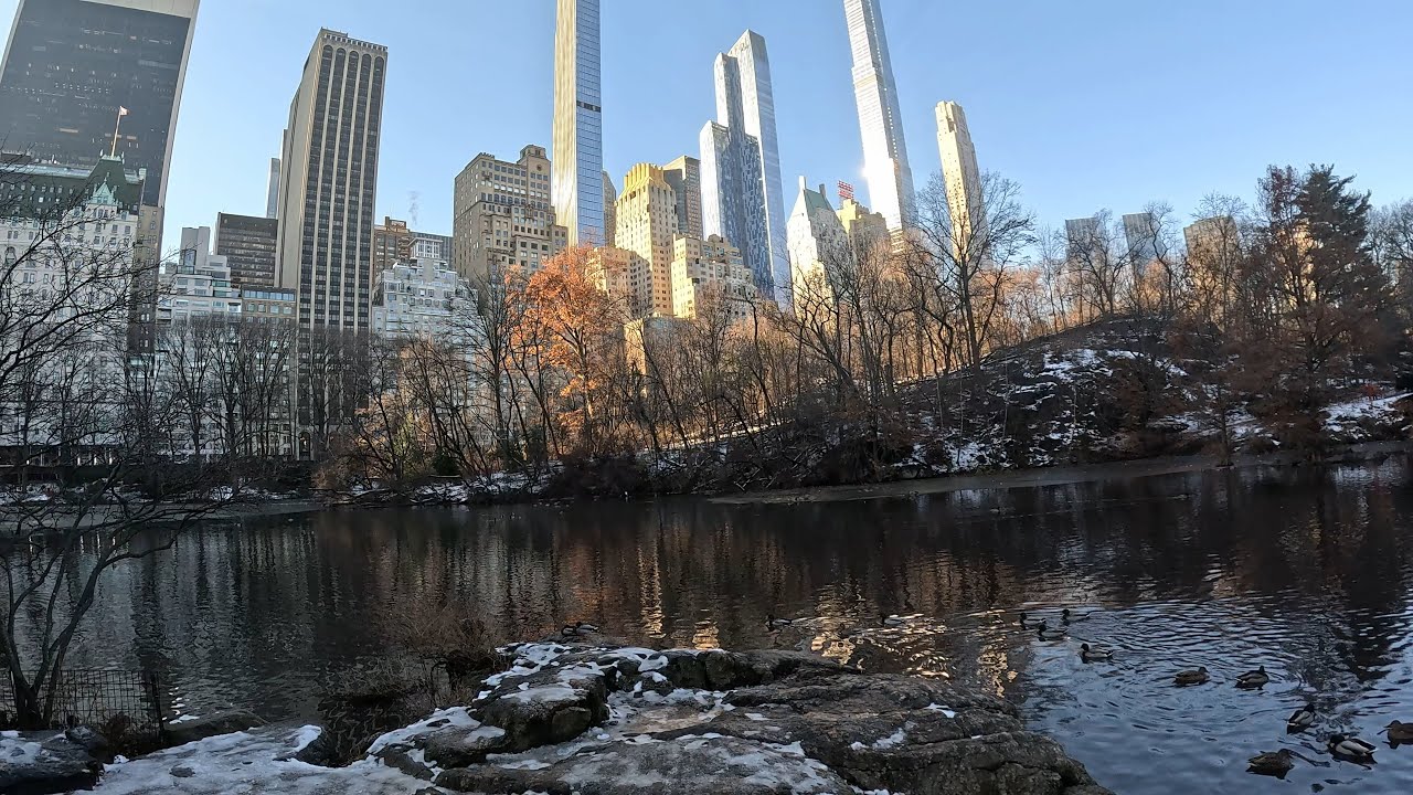 Central Park Pedicab Tour & Hidden Gems NYC 4K