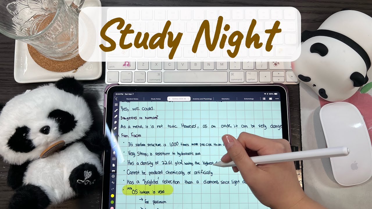 1 Hour Study With Me / Cozy Desk Studying ASMR/ Quiet & Focus/ Real Time No Music