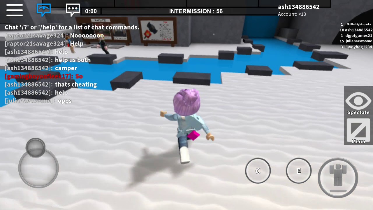 Me playing roblox
