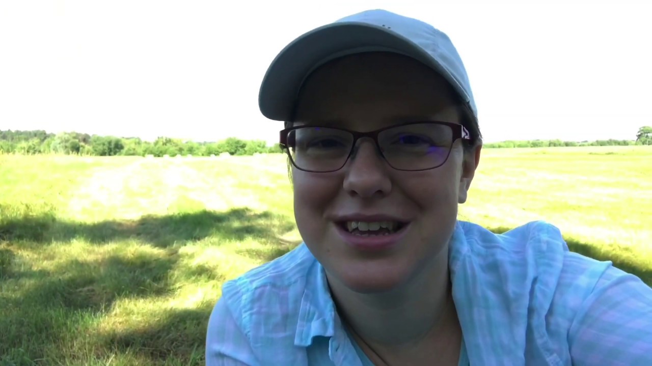 Camino, dzień 1, Brochów - Niepokalanów