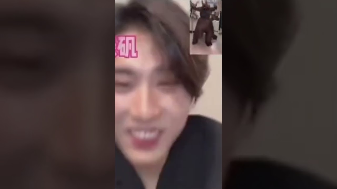 This has to be my favorite fancall😭 #straykids #hanjisung