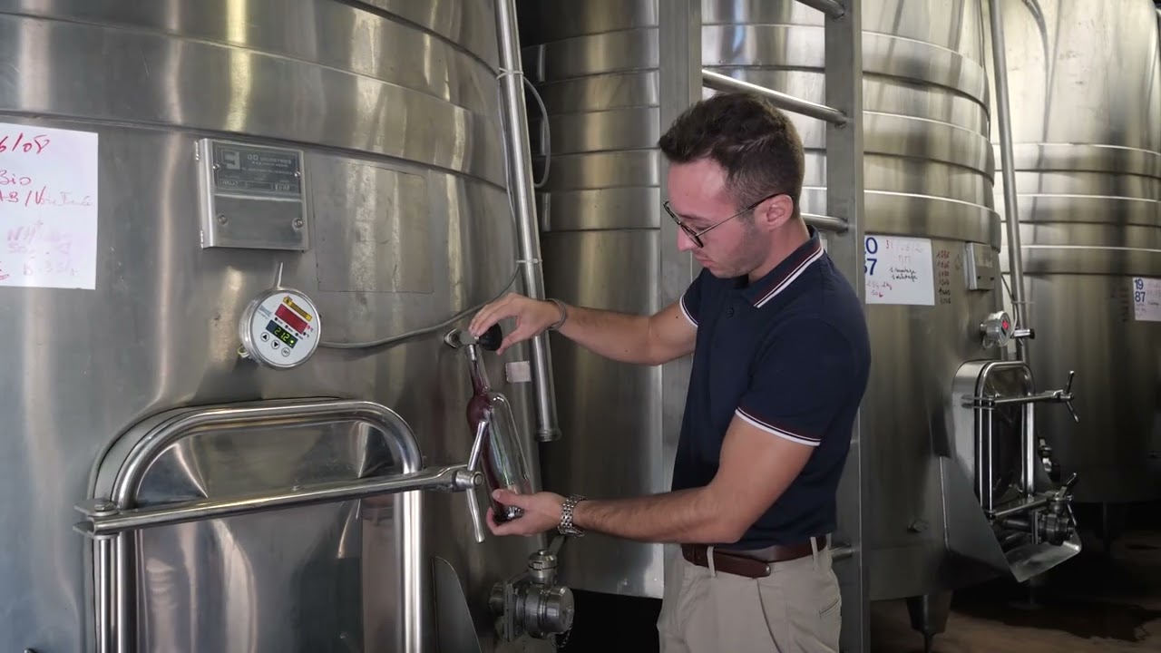 Dégustation des vins au domaine de Rombeau