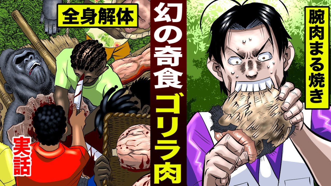 【寄食】ゴリラ肉を食う鬼頭丈二。全身を解体する部族...腕肉にかぶりつく。