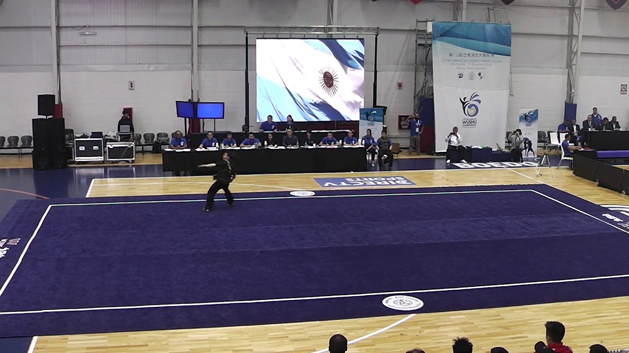 12th Pan American Wushu Championships Adult Taolu: Changquan: Male - Brian Wang (Silver)