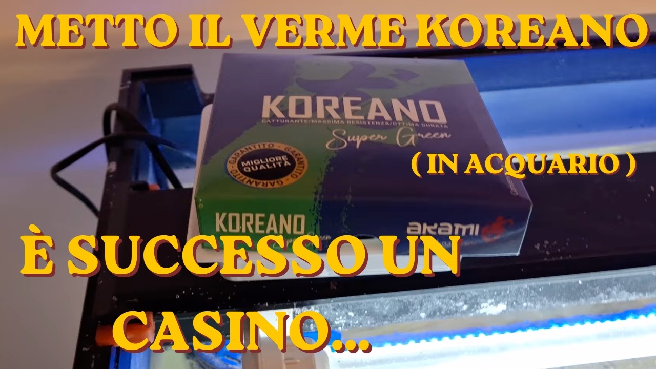 Ho comprato il verme KOREANO, vediamo come reaggiscono i pesci.