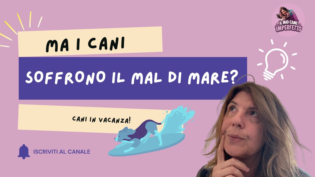 CANE IN VACANZA: CONSIGLI SE IL TUO CANE SOFFRE IL MAL DI MARE