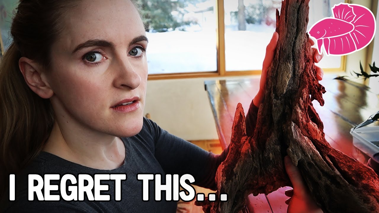 Unboxing the EVIL driftwood I found on eBay