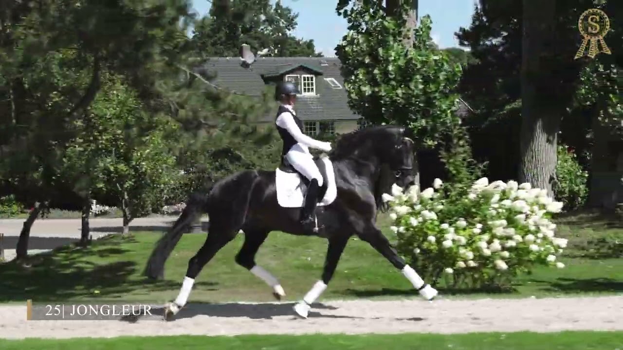 25 Jongleur ENG