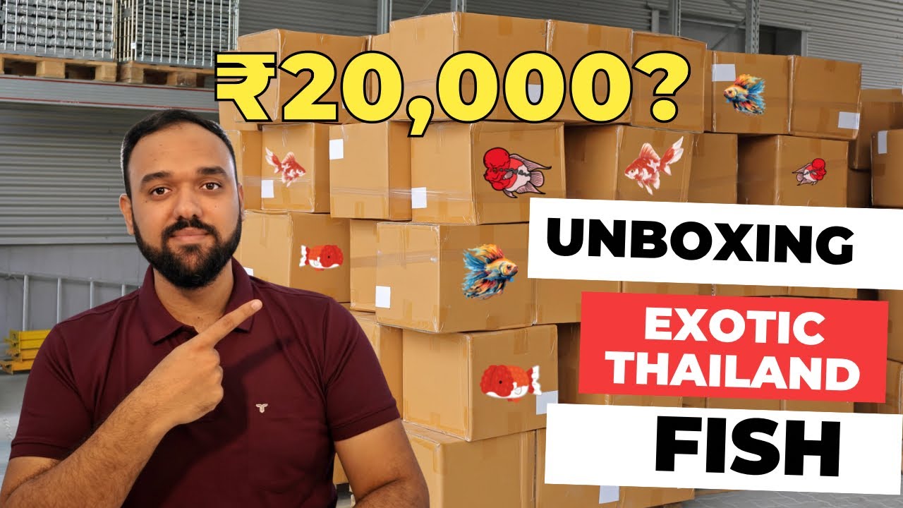 Imported Fish Unboxing From Thailand