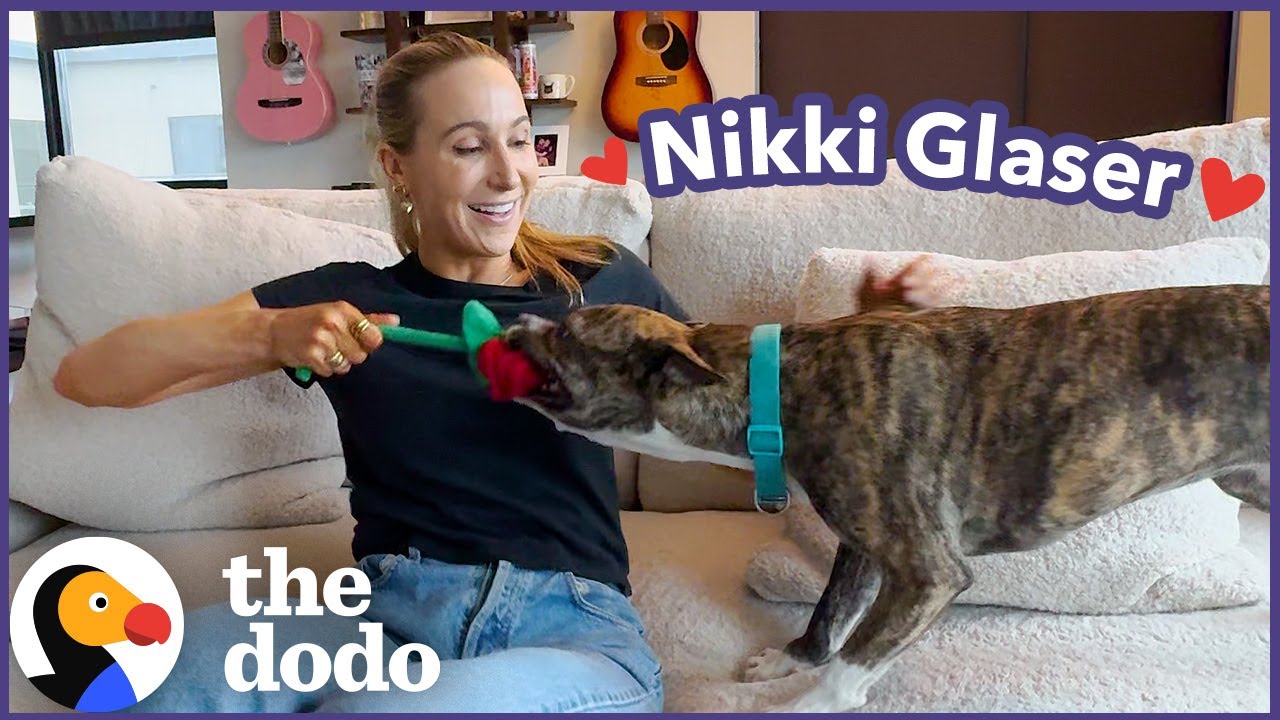 Никки Глейзер отправляется на свидание мечты с Додо | The Dodo