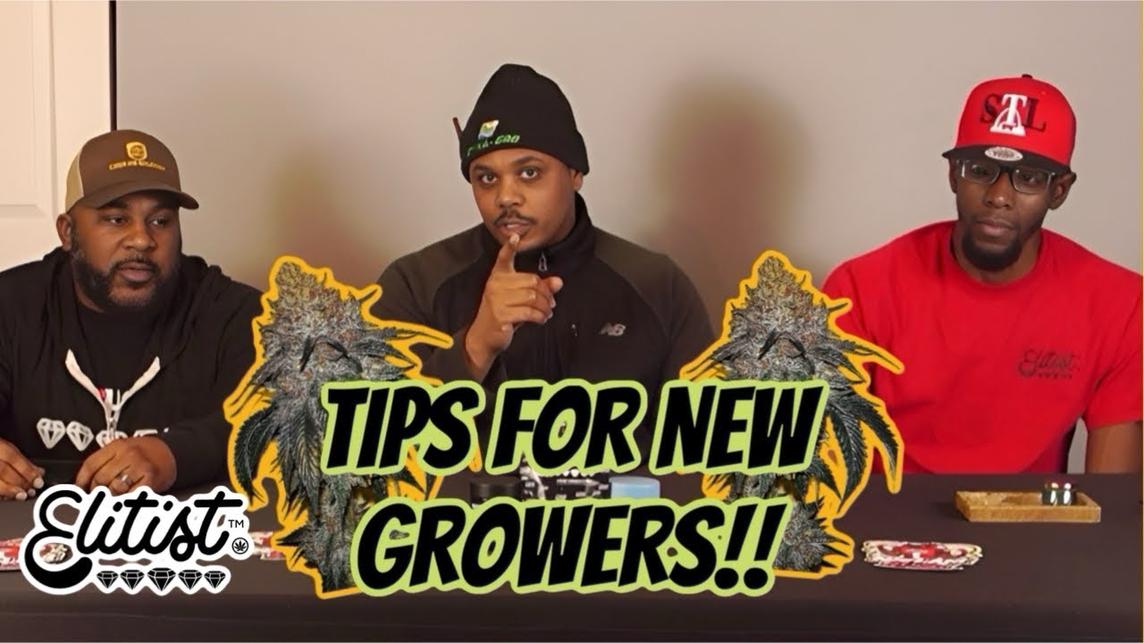 Cannabis Grow Tips for New Growers