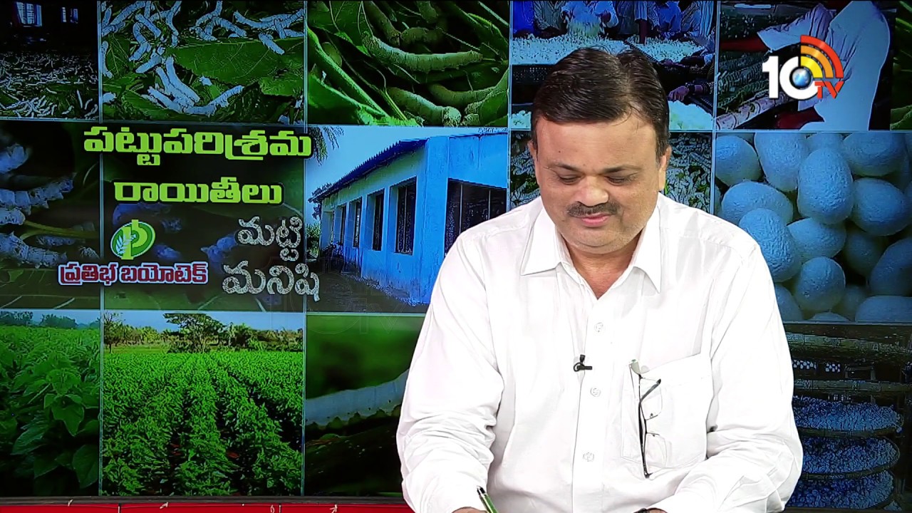 Matti Manishi | Special Discussion On Opportunities in the Silk Industry | 10TV News