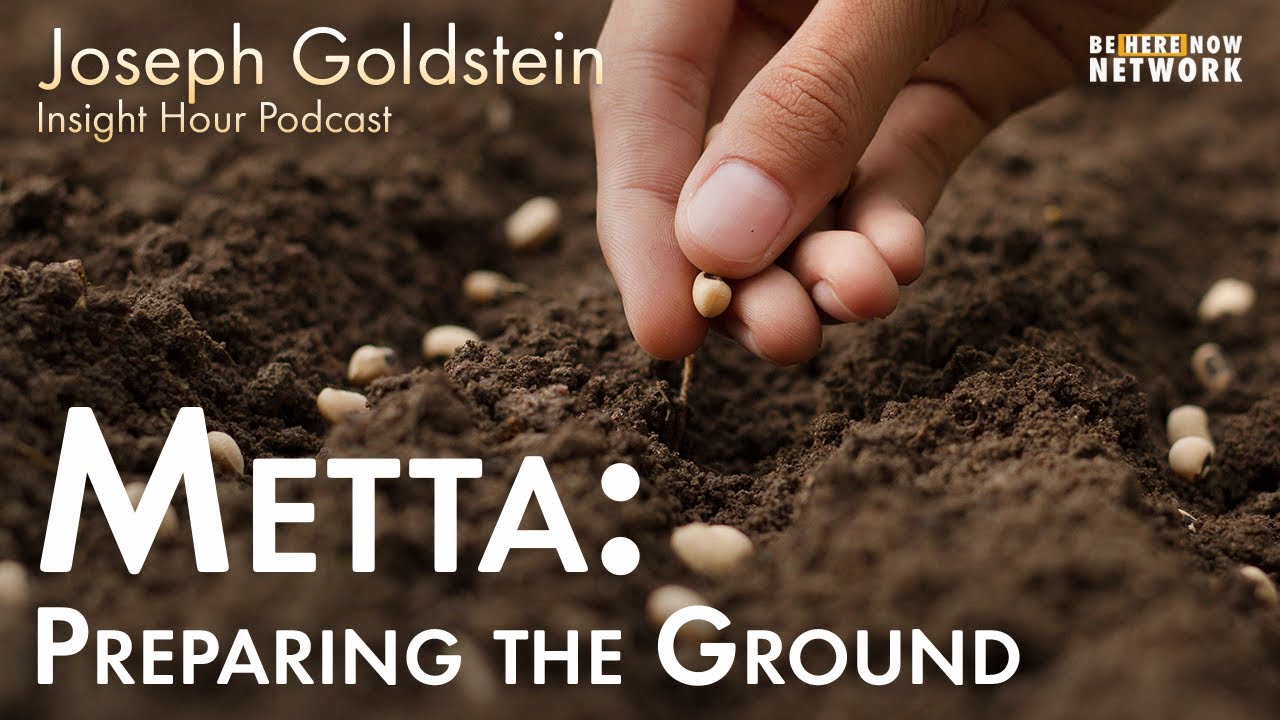 Joseph Goldstein on Metta: Preparing the Ground - Insight Hour Ep. 141