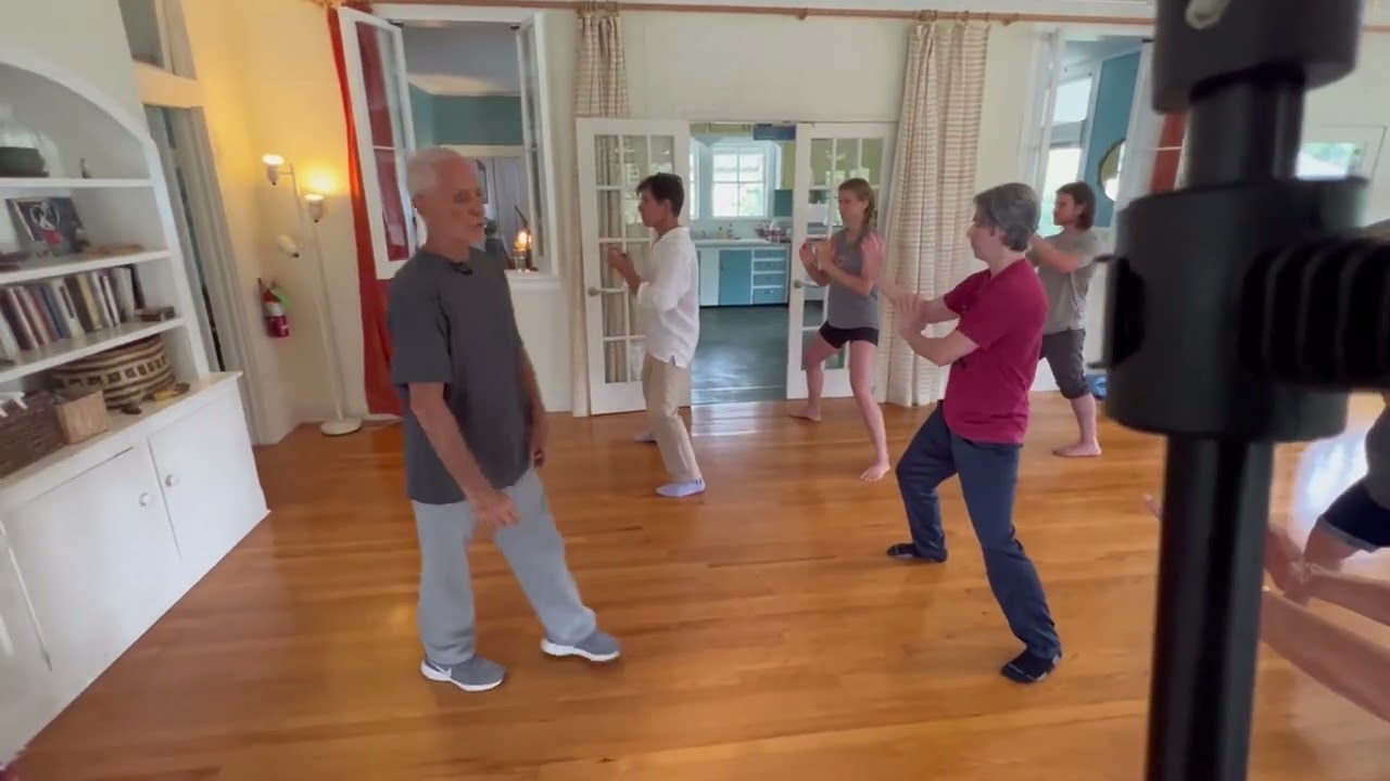 Chen Family Taichi Six Sealing Four Closing - Tai Chi Doctor -Dr Bob Bacher