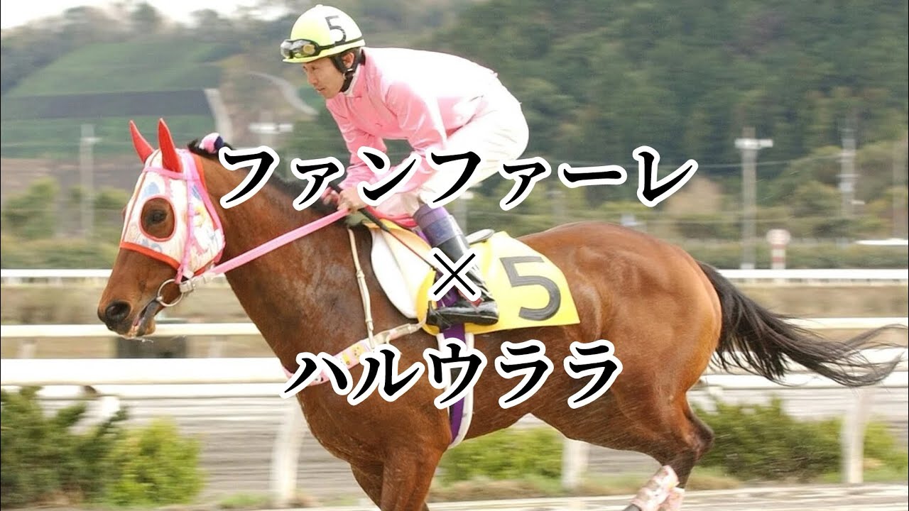 ハルウララ×ファンファーレ /玉置浩二[競馬MAD]