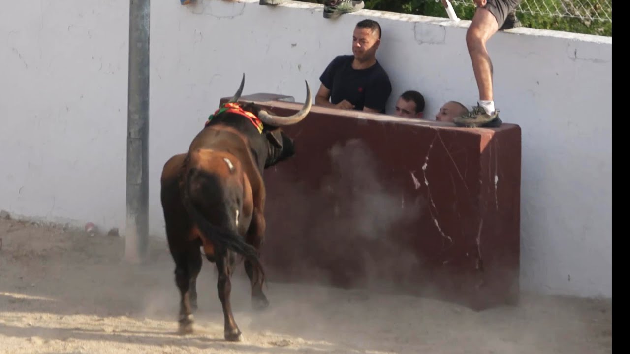 😱 MOMENTO DE TENSION CON EL TORO! TOROS A CAJON TRES JUNCOS 2025